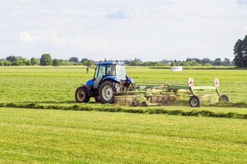 blue tractor rakes hay in the meadow © Andrzej Płotnikow