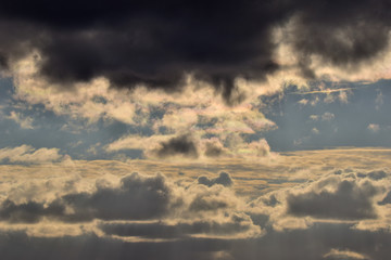 Obraz premium Spreading their Wings