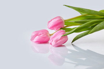 Spring flowers. Pink tulips bouquet on a glass table. Space for text. White background. Horizontal