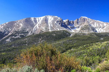 Mount Wheeler in June