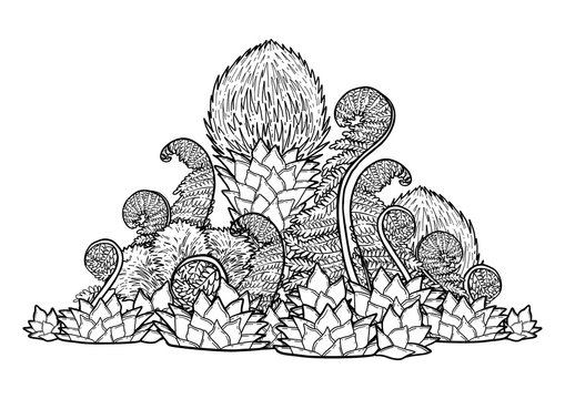 Graphic prehistoric plants