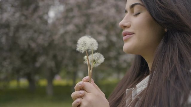 Girl is blowing the blowball