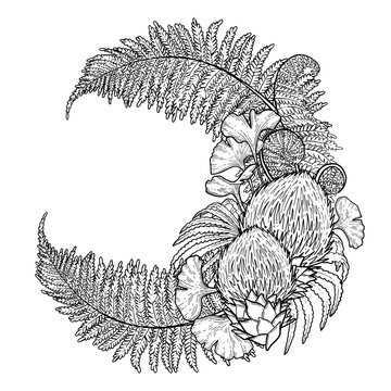 Graphic prehistoric plants