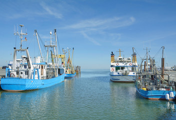 im Hafen von Strucklahnungshörn auf der Halbinsel Nordstrand in Nordfriesland,Nordsee,Schleswig-Holstein,Deutschland