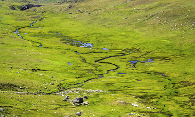 Beautiful landscape with green meadow