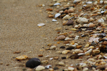 Fototapeta na wymiar Close-up of Beach Sand, Rocks, Stones, Shells, Shell Pieces/Fragments