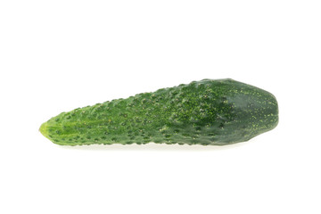 cucumber on white background