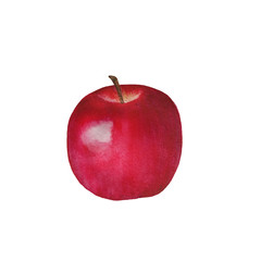Apple illustration with watercolor