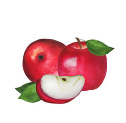 Apples illustration with watercolor