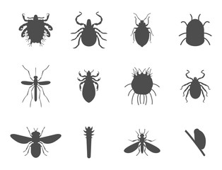 Human skin parasites vector silhouette housing pests insects disease parasitic bug macro animal bite dangerous infection medicine pest illustration.