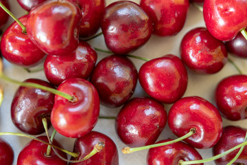 Viele rote  Kirschen