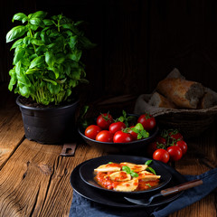 rustic Delicious Pasta - Ravioli in tomato sauce with basil