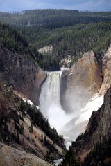 Fototapeta na wymiar Beautiful Lower Falls – Yellowstone NP – USA 