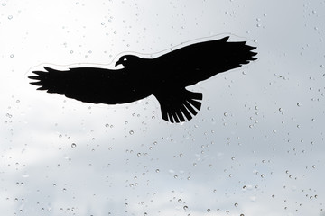 Aufkleber an Scheibe - Vogel zur Sicherheit auf Scheibe