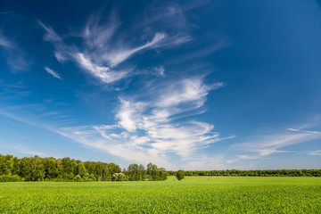 landscape with perfect sky