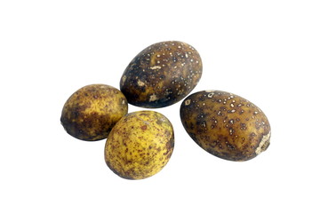 Hog Plum Spondias pinnata Forest fruit (Makok thai word) isolated on white background closeup
