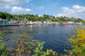 Tobermory Isle of Mull