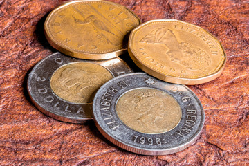 Canadian Coins