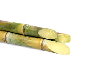 Sugar cane, Cane, Sugarcane piece fresh, sugar cane on white background, Sugarcane agriculture