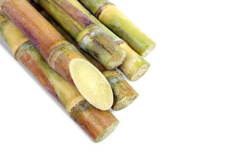 Sugar cane, Cane, Sugarcane piece fresh, sugar cane on white background, Sugarcane agriculture
