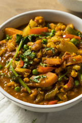 Homemade Spicy Vegan Vegetable Curry