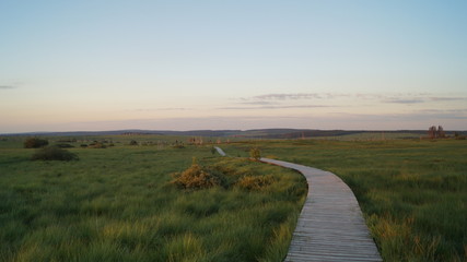 ce long chemin