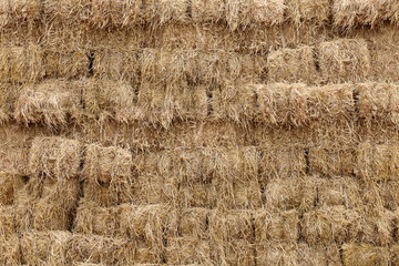 straw, straw block cube background, dry straw backdrop. straw cube wall background