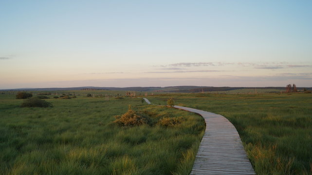 ce long chemin