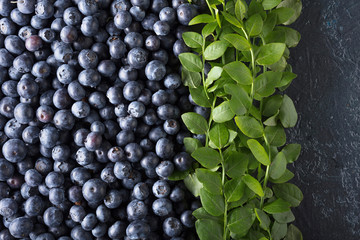  Ripe and juicy fresh picked blueberries closeup.