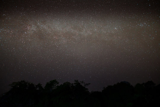 Night sky of milky way with tree located north of thailand