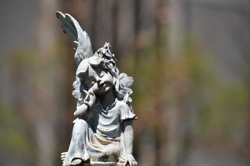 Sculpture of a peaceful  angel on an old tomb of the cemetery of Montreal-Canada
