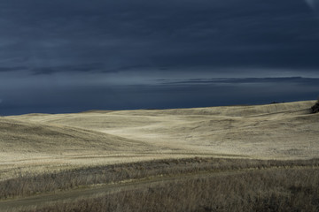 Fototapeta premium Beautiful fields filled with light in Canada