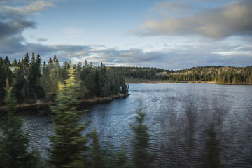 Fototapeta premium View from moving train to autumn landscape