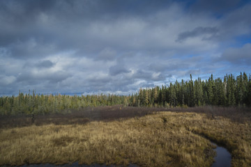 Fototapeta premium Colorful autumn landscape in Ontario, Canada