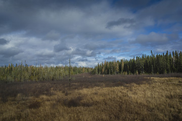 Obraz premium Beautiful autumn landscape