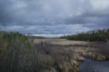 Cloudy day autumn landscape