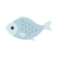 delicious fish meat menu vector illustration design