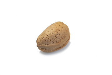 crustacean almond