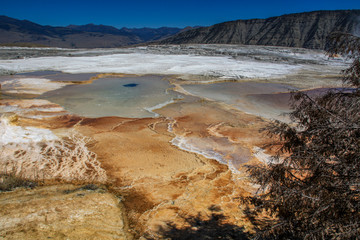 Mammoth hot springs at Yellowstone national park