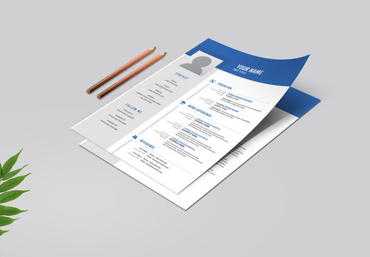 Blue and Light Gray Resume Layout