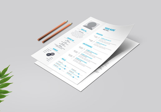 Blue and Light Gray Resume Layout