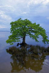 Obraz premium SONY DSC