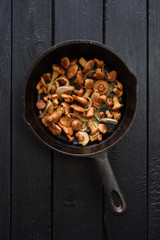 Healthy rustic food. Wild mushrooms. Golden chanterelle mushrooms fried in cast iron pan with onion on dark background copyspace