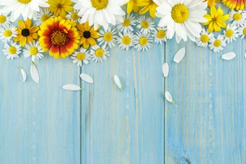  Witte madeliefjes en tuinbloemen op een lichtblauwe versleten houten tafel. De bloemen zijn gerangschikt in het bovenste gedeelte, de lege ruimte eronder. © liptakrobi