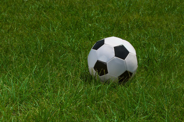 Obraz premium Soccer ball on green grass