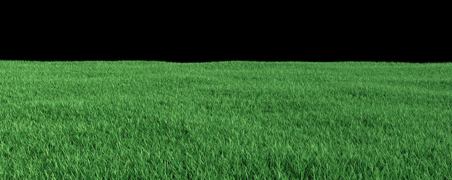 Green Grass Banner 3D Rendering with Copy Space and Infinite Depth of Field