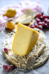 Hard cheese and cheese knife with different appetizers for wine