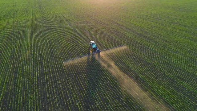 4K aerial drone footage. Following tractor sprayer on soybean fields at sunset