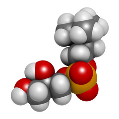 Alpha-GPC (L-Alpha glycerylphosphorylcholine, choline alfoscerate) molecule.  3D rendering. Atoms are represented as spheres with conventional color coding: hydrogen (white), carbon (grey), etc