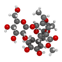 Oleuropein olive component molecule. In part responsible for pungency of virgin olive oil, may have beneficial properties. 3D rendering. Atoms are represented as spheres.